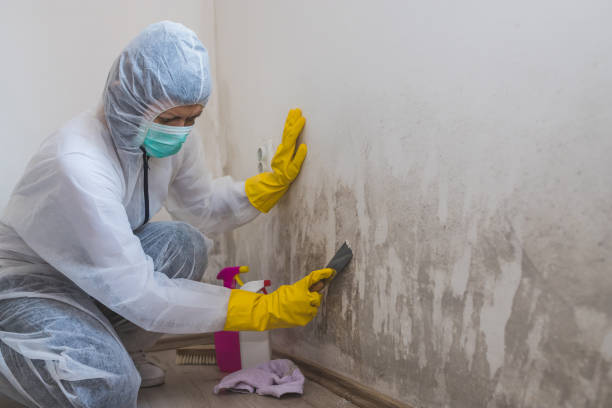 Best Residential Mold Removal  in Sunnyside Tahoe City, CA