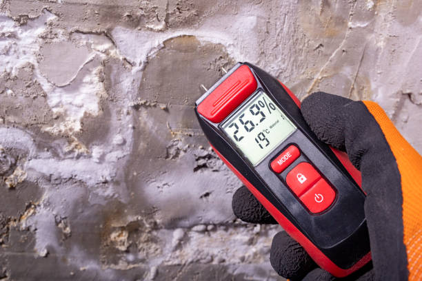 Best Black Mold Removal  in Sunnyside Tahoe City, CA