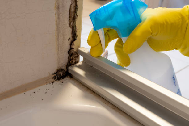 Best Home Mold Removal  in Sunnyside Tahoe City, CA