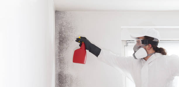 Best Mold Cleaning Services  in Sunnyside Tahoe City, CA