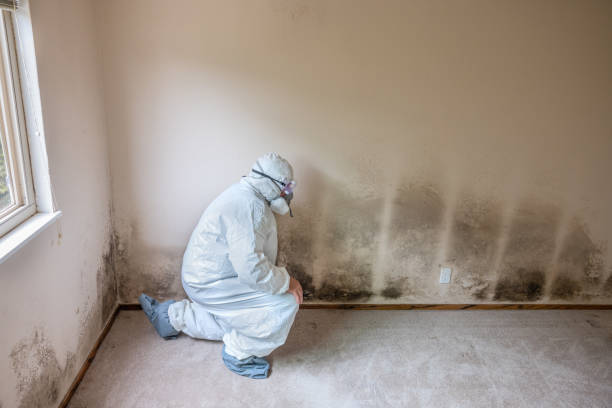 Best Professional Mold Removal  in Sunnyside Tahoe City, CA