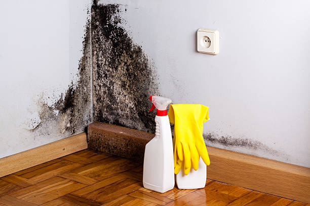 Best Crawl Space Mold Removal  in Sunnyside Tahoe City, CA